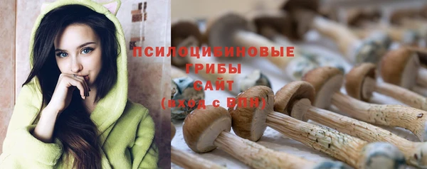 винт Алзамай