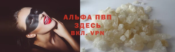винт Алзамай