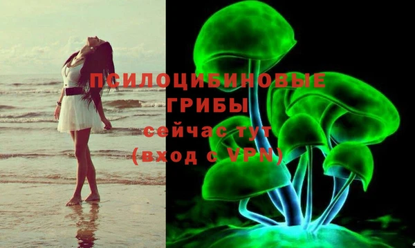 винт Алзамай