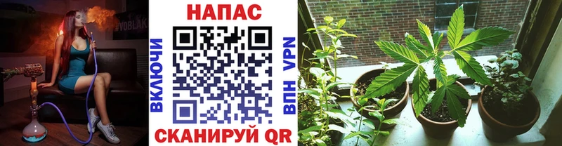 Каннабис гибрид Богучар